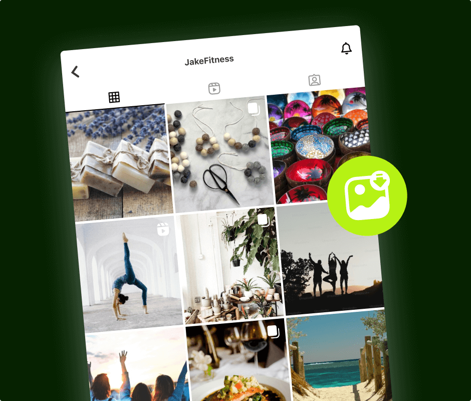 Instagram Story Downloader logo